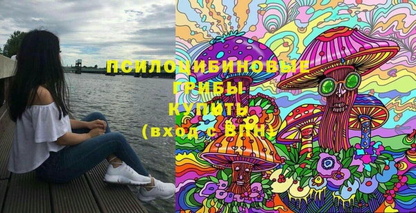 спиды Белокуриха