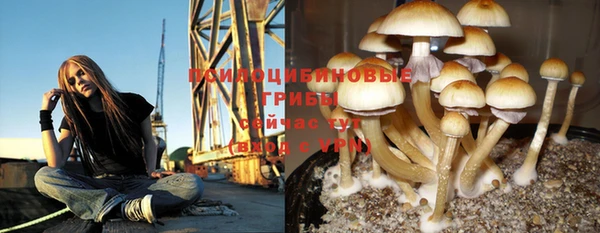МДПВ Богородск