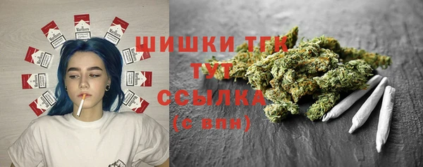 твердый Богородицк