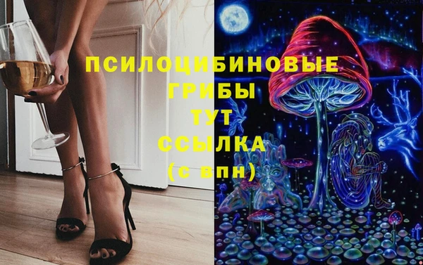 твердый Богородицк