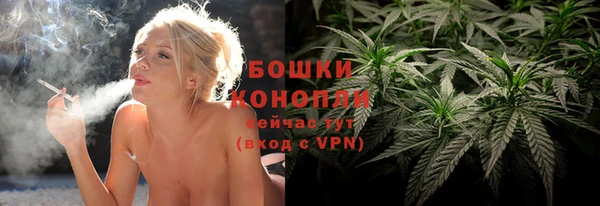 твердый Богородицк